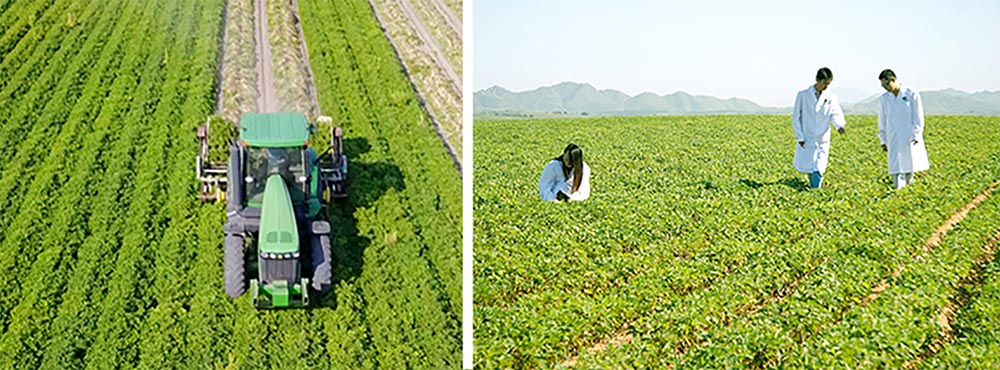 遼寧正業(yè)花生產業(yè)：共抗疫情，龍頭企業(yè)顯擔當！(圖3)